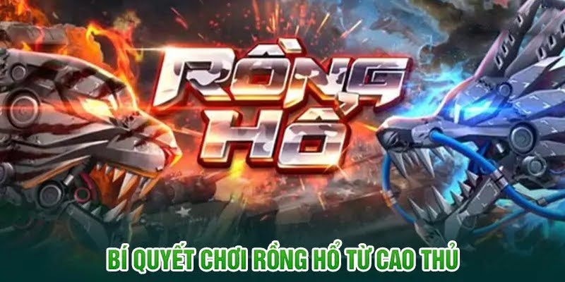 Gấp thếp khi chơi Rồng Hổ không mang lại hiệu quả cao